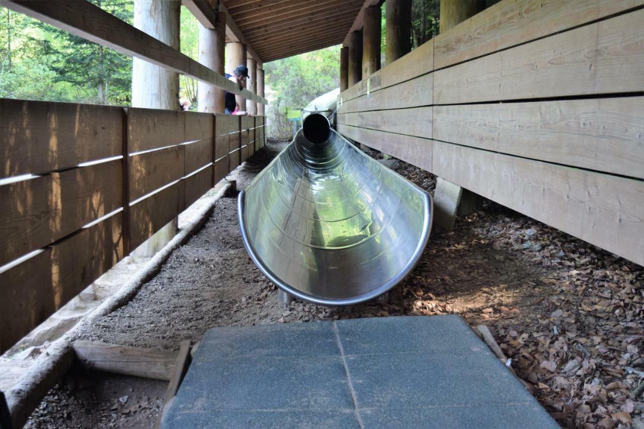 Ferienwohnung Im Dettenbachtal Waldkirch Exteriér fotografie